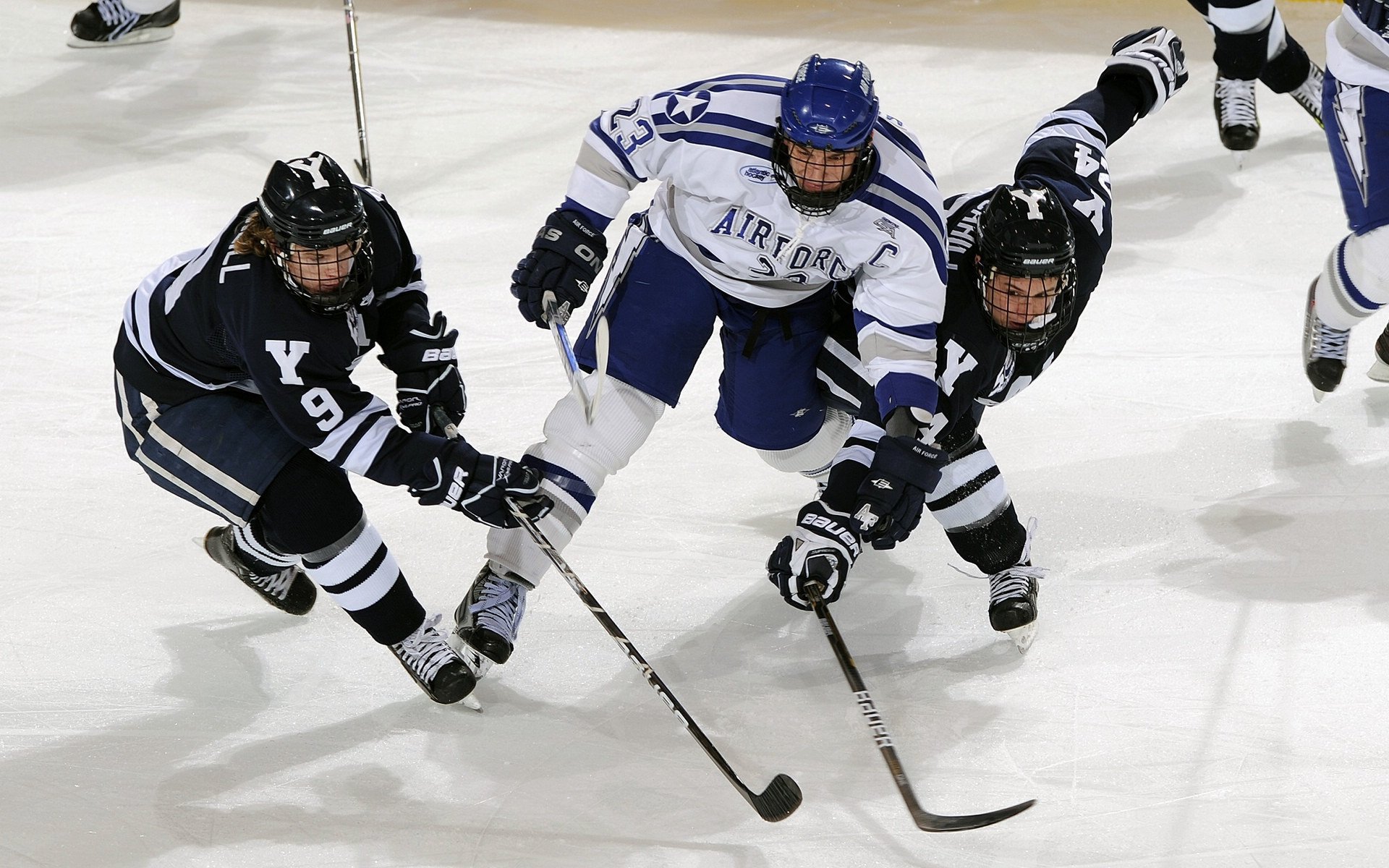 Doinb迎来十五赛季高光表现，公牛球迷沸腾！